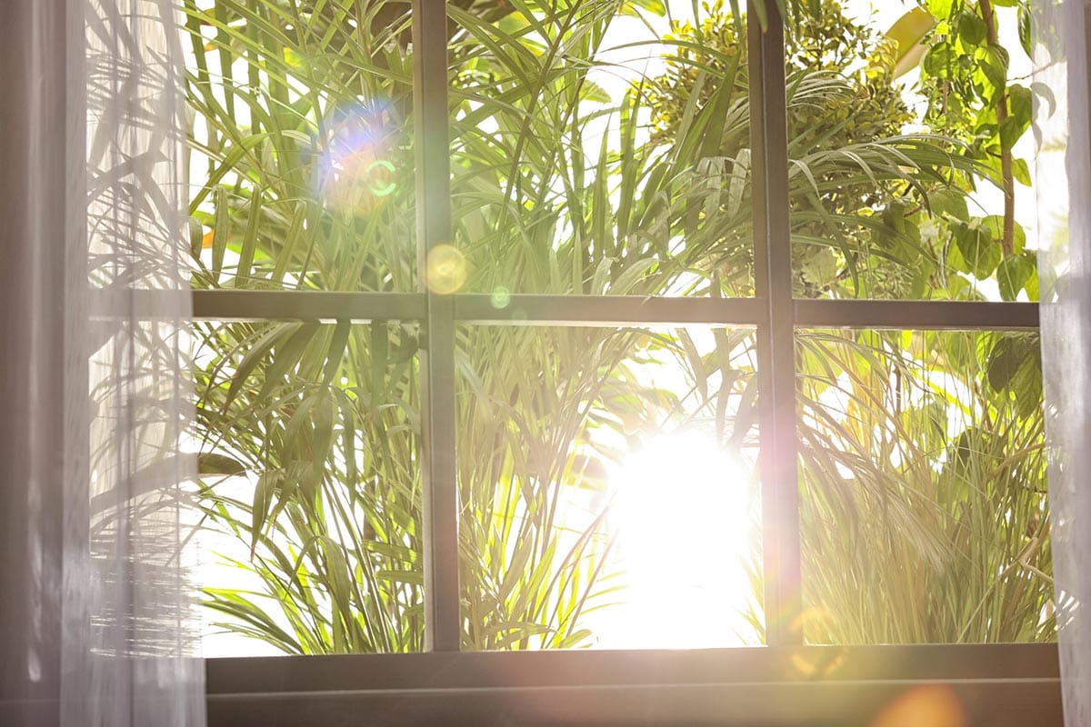 Digital Detox Isn’t a Trend, It’s Survival