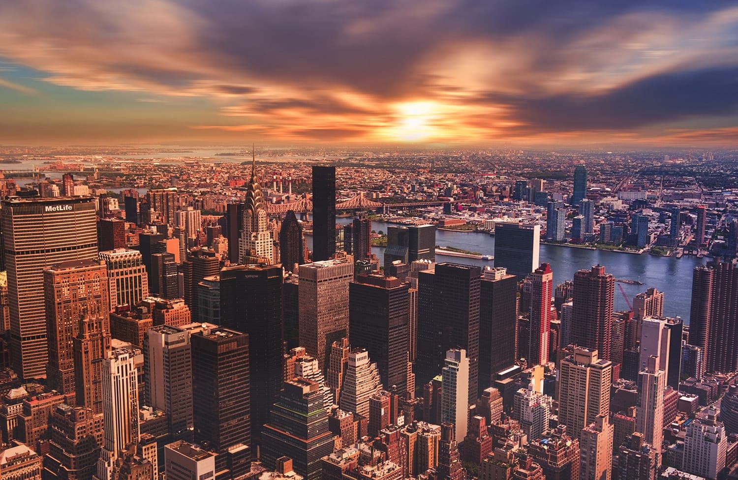 How to survive in a huge city
